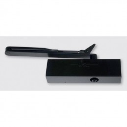 Samozamykacz DORMA Groom 200 ramieniowy